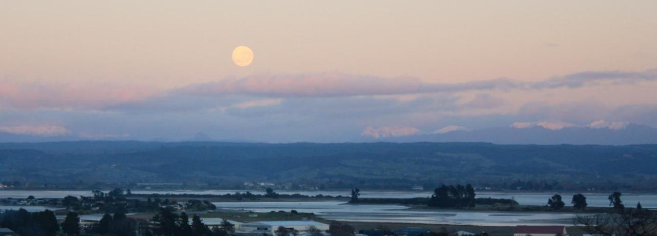Tahuna Hills Guesthouse Nelson Dış mekan fotoğraf